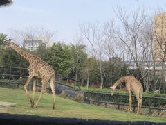 -南昌动物园