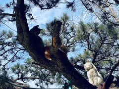 -龙华寺