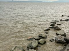 -深圳湾公园(南山区)