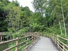 -梁野山景区