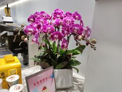 -雅克雅思(南湖东路店)