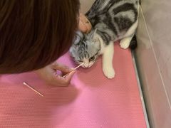 -北京观赏动物医院·24小时大型综合·猫专科·异宠专科