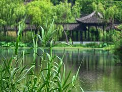 -沙家浜风景区