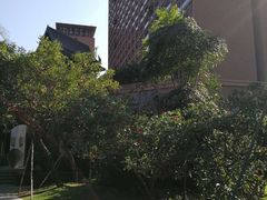 -三亚湾红树林度假世界(木棉酒店)