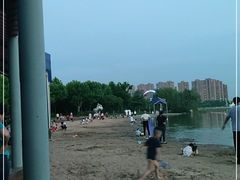 -暨阳湖生态园