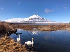 -富士山吉田線五合目