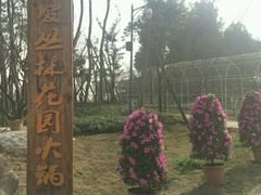 -秀丽东方