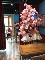 -星豆豆儿童摄影(南郊太白南路店)