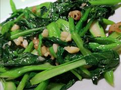 清炒菜心-广记海鲜(杨汊湖一店)