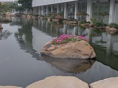 -罗红摄影艺术馆