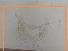 -Sirena海妖日咖夜酒