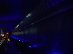 -白鹤梁水下博物馆