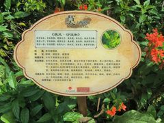 -广西壮族自治区药用植物园