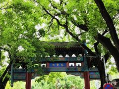 -北京国子监胡同
