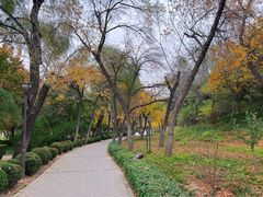 -元大都城垣遗址公园