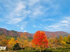 -塔川景区