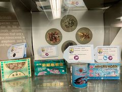 -纽瓦克自由国际机场