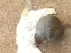 -昆明动物园