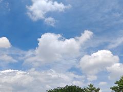 -海珠湖公园