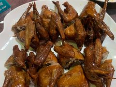 -东鸽皇(奥园·中环广场店)