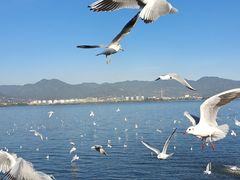 -海埂大坝
