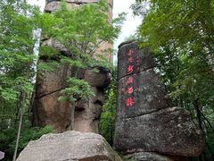 -汤旺河林海奇石景区