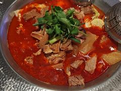 -古乐牛香•鲜牛肉牛杂火锅(系马桩总店)