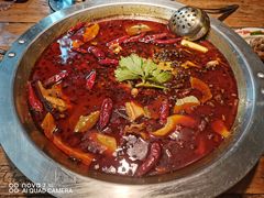 -王婆乔鲜鱼自助火锅(蜀汉路店)