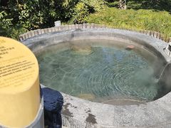 -扬州瘦西湖温泉