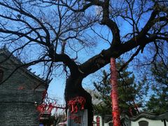 -杨家埠民间艺术大观园