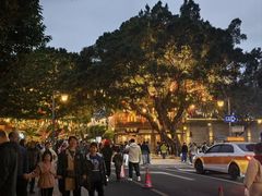 -麦当劳(南后街店)