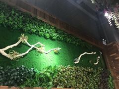 -巴蜀尚品鲜货火锅(邛崃店)