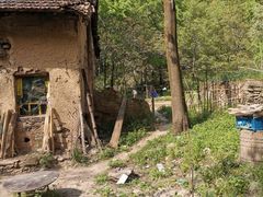 -终南山国家森林公园