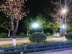 -全乐鱼馆·淳牌有机鱼直营店