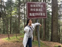 -冶力关旅游区