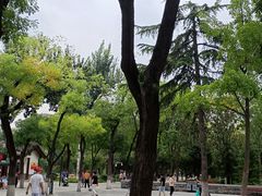 -莲湖公园