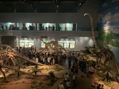 -自贡恐龙博物馆