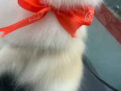 -宠物家(大兴旧宫店)