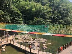 -长谷洞天