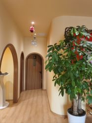 -小颜秘家·韩国整骨