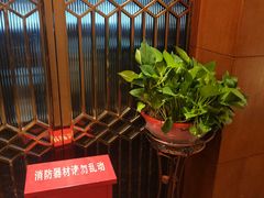 -国人川菜(李家村建东街店)