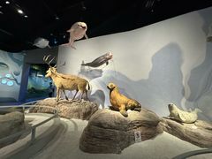 -中国湿地博物馆