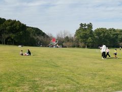 -昆山城市生态森林公园