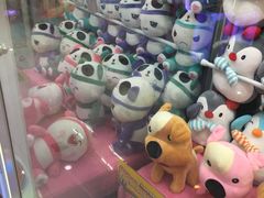 -探险阳光乐园(东区利和店)