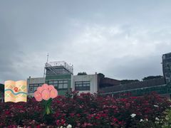 -立新湖公园