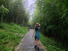 -广州市石门国家森林公园