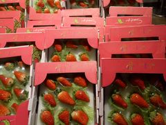 -盒马鲜生(曜一城店)