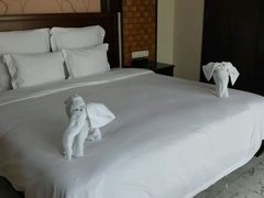 -三亚亚龙湾雅高铂尔曼别墅度假酒店