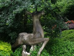 -金鸡山公园