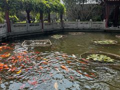 -碧江金楼